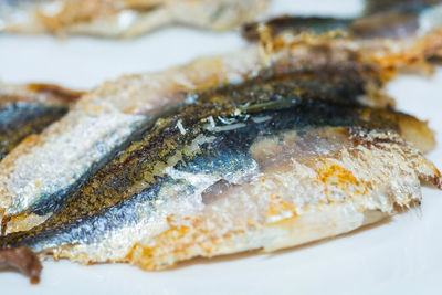 High angle view of fish in plate