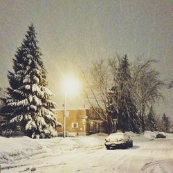 Snow covered landscape