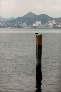 Wooden post in sea against sky