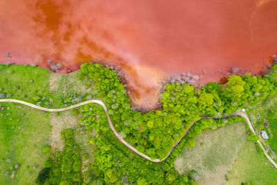 High angle view of road amidst trees