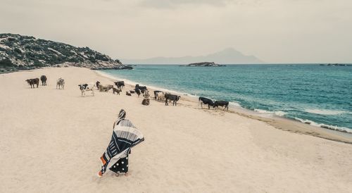 Scenic view of beach against sky