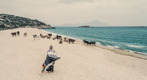 Rear view of woman standing by cows on sandy beach