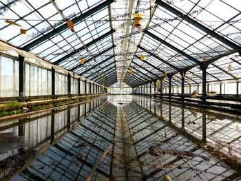 Interior of abandoned greenhouse