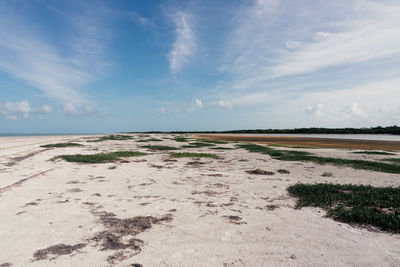 Scenic view of beach against sky