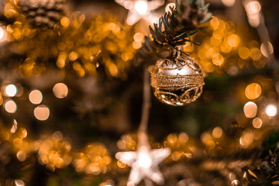 Close-up of illuminated christmas tree at night