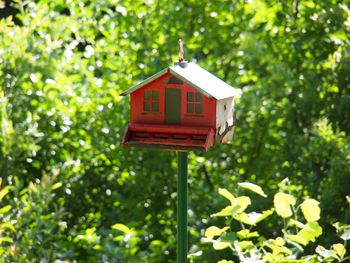 Metal bird house 