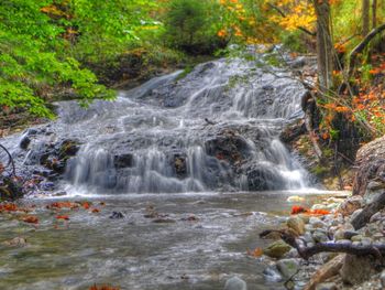 Scenic view of waterfall in forest