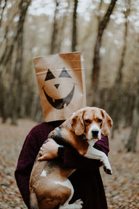 Dog looking away in a halloween story 