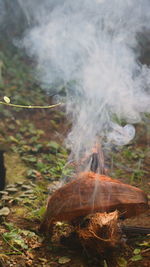 High angle view of smoke emitting from tree on field