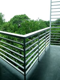 Close-up of plants against the sky