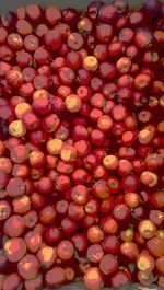 Full frame shot of red chili peppers