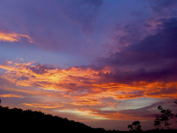 Low angle view of silhouette trees against dramatic sky