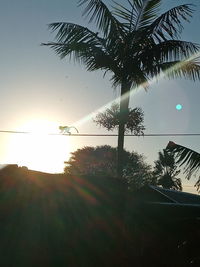 Silhouette palm trees against sky during sunset