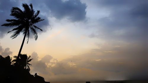 Low angle view of silhouette palm trees against sky