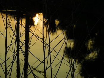 Scenic view of lake at night