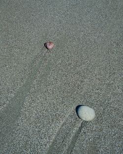 High angle view of ball on sand