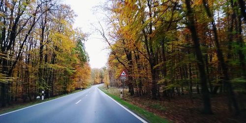 Road amidst trees during autumn