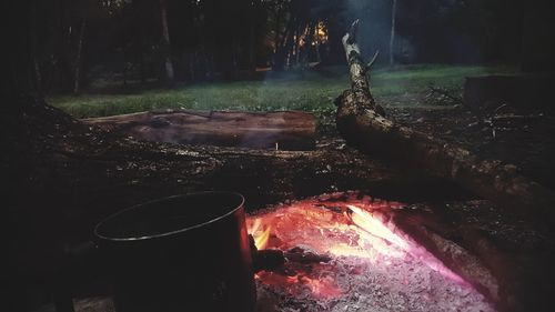 High angle view of bonfire on tree trunk in forest