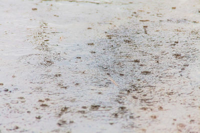 Full frame shot of sand