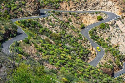 High angle view of road amidst trees