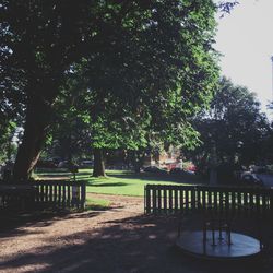 Trees in park