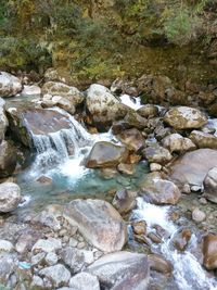 Scenic view of waterfall in forest