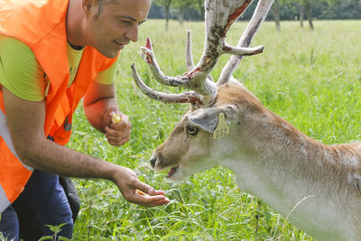 Man feeding deer on field