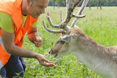 Side view of deer on field