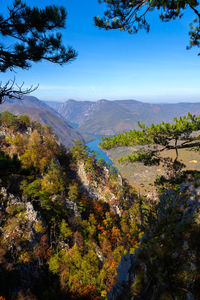 Scenic view of tree mountains against blue sky