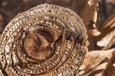 Close-up of ornate carving on metal