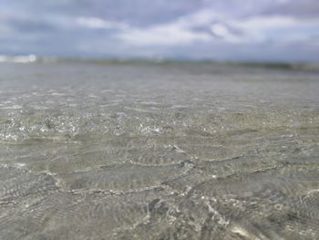 Surface level of sea shore against sky