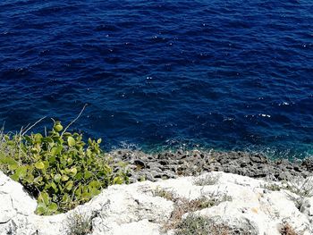 High angle view of rocks by sea