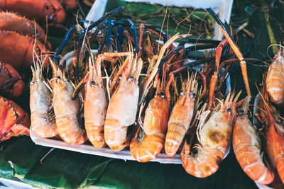 High angle view of fish for sale in market