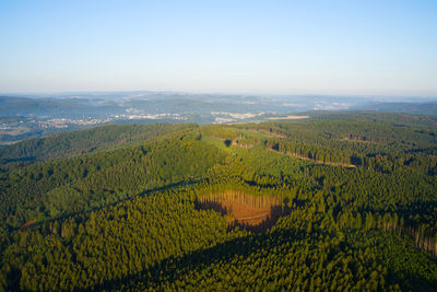 Aerial view of forest against clear sky