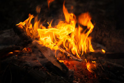 Close-up of bonfire