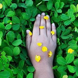 Close-up of person hand with yellow leaves