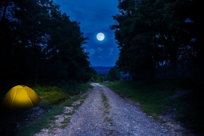 Road amidst trees against sky at night