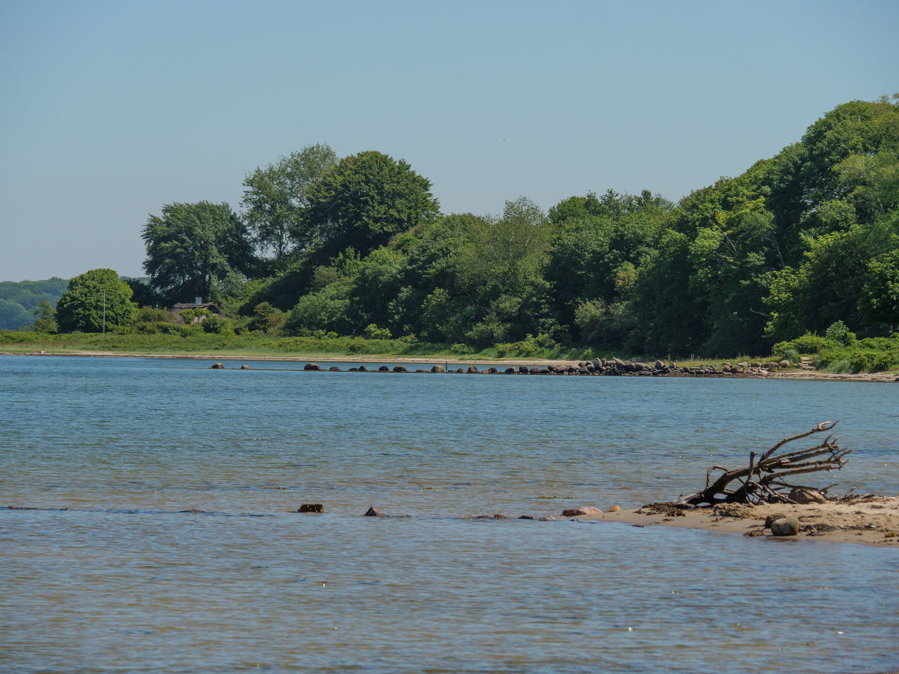 SCENIC VIEW OF SEA AND FOREST