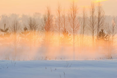 Scenic view of wet landscape against sky during sunset