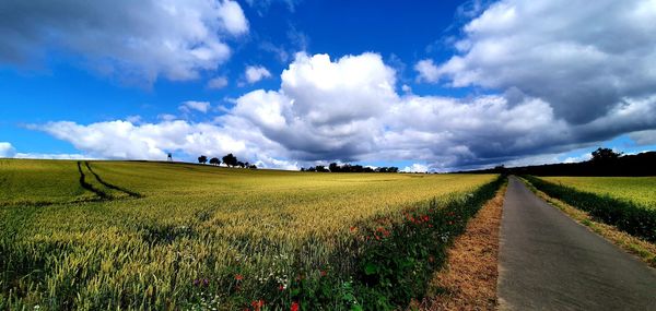 Scenic view of field against sky