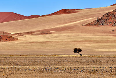 Scenic view of desert against clear sky