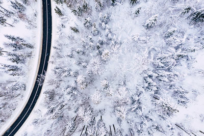 High angle view of snow covered land and trees