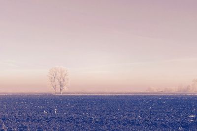 Scenic view of field against sky during sunset