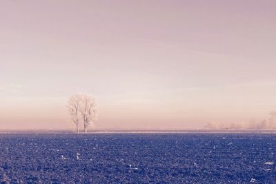 Scenic view of field against sky during sunset