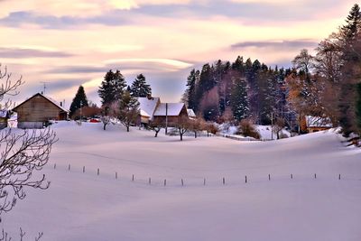 Trees on snow covered field against sky during sunset