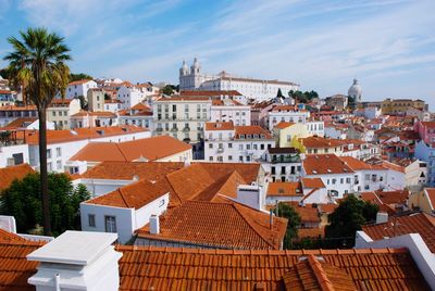 Houses in a city