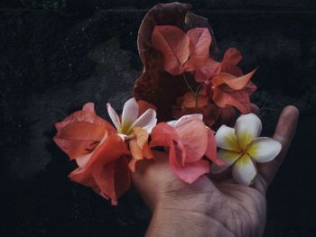Cropped hand of person holding flowers