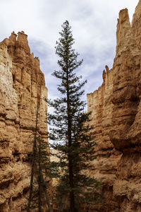 Low angle view of rock formations