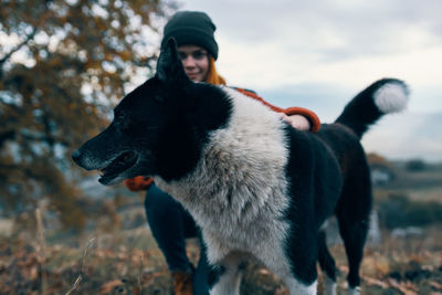 Portrait of a dog standing on field during winter