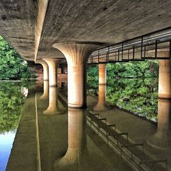 Plants and trees seen through bridge